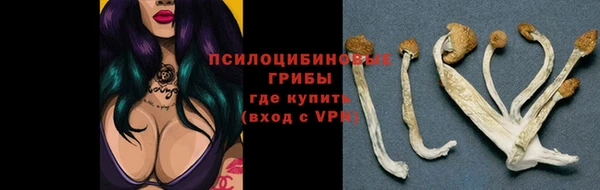 jwh Алзамай