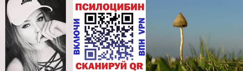 ссылка на мегу рабочий сайт  как найти закладки  Избербаш  Псилоцибиновые грибы Magic Shrooms 